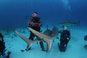 superyacht tender monitoring yacht trace